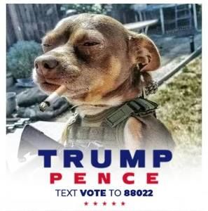 Meet your Posher, Kenneth